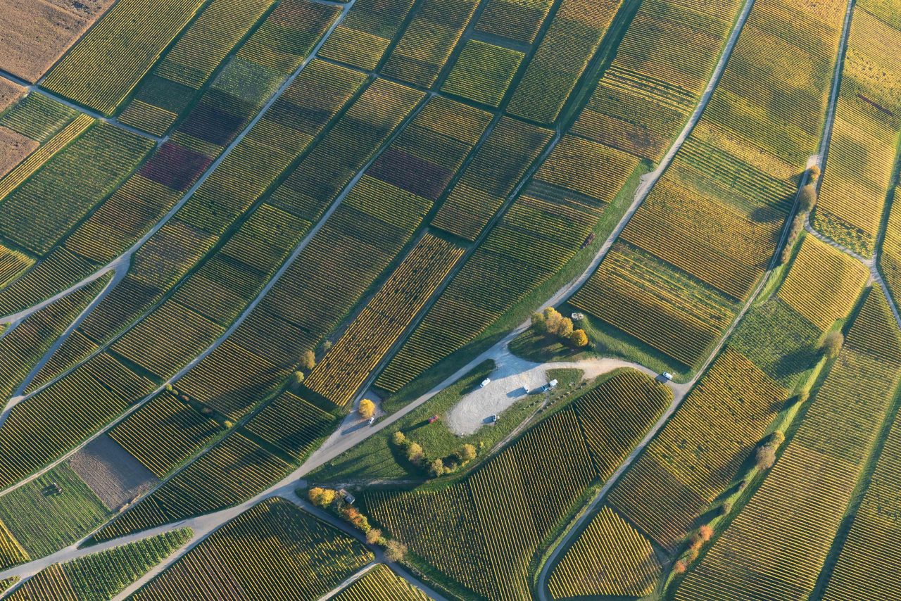 Neuigkeiten und Informationen zum Hotel bundesweit